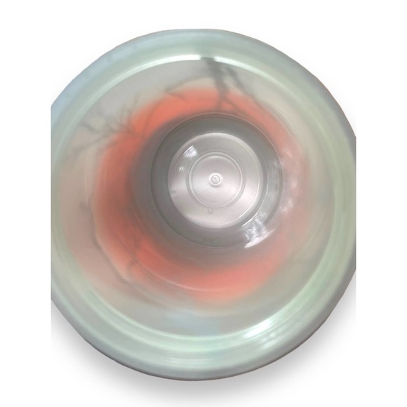 Starbucks RAVEN'S PERCH 2022 Halloween 16 oz Cold Cup *Glow in the Dark* - Picture 8 of 13